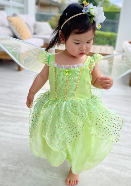 NEW Tinkerbell Fairy Princess Dress & matching Wings