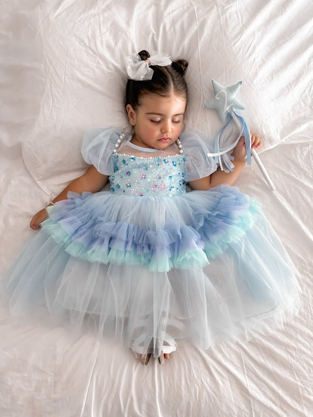 Elsa Bluebell Luxe Princess Birthday Party Dress Costume