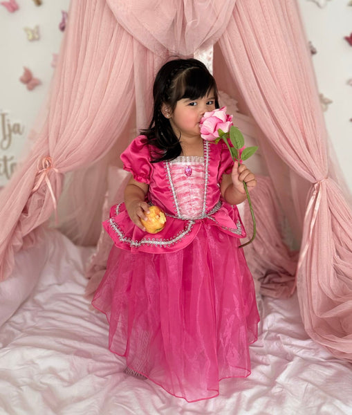 Mini Baby Aurora Luxe Princess Party Dress
