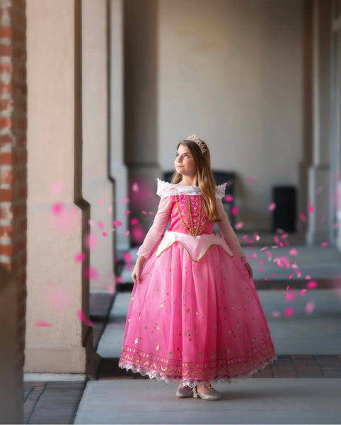 Aurora Pink Princess Long Sleeve Party Dress Costume
