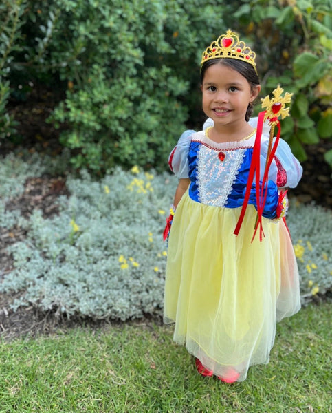 Magical Snow White Luxe Princess Birthday Party Dress Costume