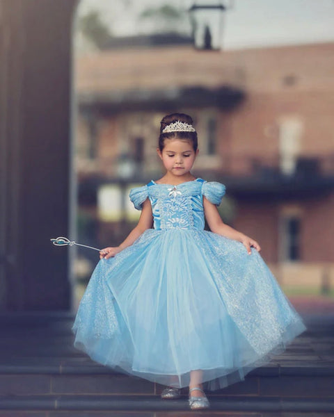 Classic Cinderella Princess Party Dress Costume