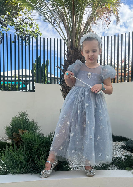 Snow Elsa Princess Birthday Party Dress Costume