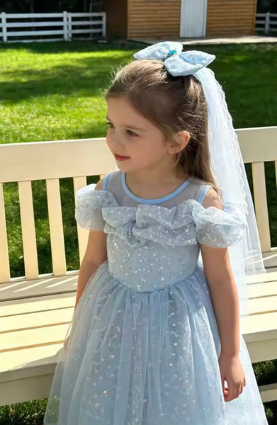 Sparkle Cinderella Elsa Princess Luxe Birthday Party Dress Costume